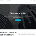 MyBiz - 免费商业 Bootstrap 主题